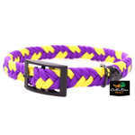 Purple/Gold