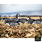 White Rock 2D Silhouette Canada Goose Decoys - Printed