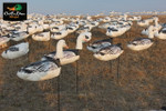 NEW WHITE ROCK DECOY COMPANY HEADED BLUE GOOSE WIND SOCK HUNTING DECOYS 1 DOZEN