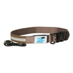 Avery Outdoors Lighted Collar