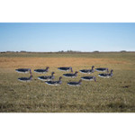 Avery GHG Pro-Grade Windsock Decoys - Specklebelly Goose With Painted Heads