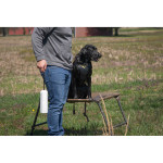 MOmarsh Dog Training Single Bumper