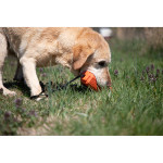 MOmarsh Dog Training Single Bumper