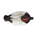 DOA Decoys Canvasback Floater Pack