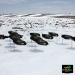 White Rock Headless Canada Goose Decoys