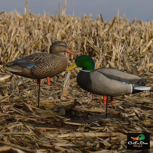 Full Body Mallards w/ Flocked Heads