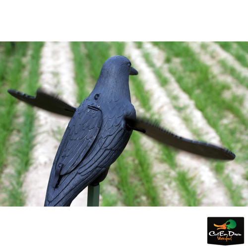 MOJO Outdoors Crow Decoy With Magnetic Wings - Battery Powered Motion Decoy For Crow Hunting