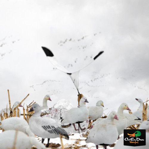 Hypnotize Snow Goose Flag