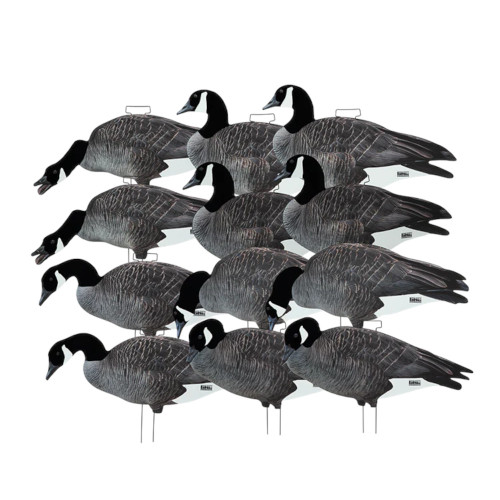 Avery Outdoors GHG FFD Pro Grade Canada Goose Silhouette Decoys