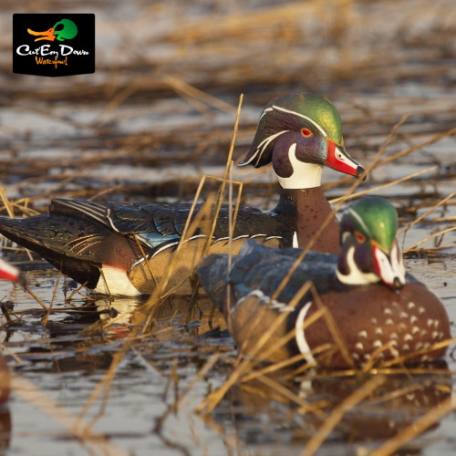 Pro-Grade Wood Duck Drake