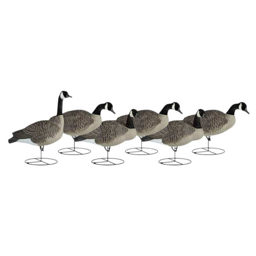 Dakota Decoy Signature Series Upright Canada Goose Decoys