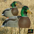 Over-Size Active Mallard Drake Shell