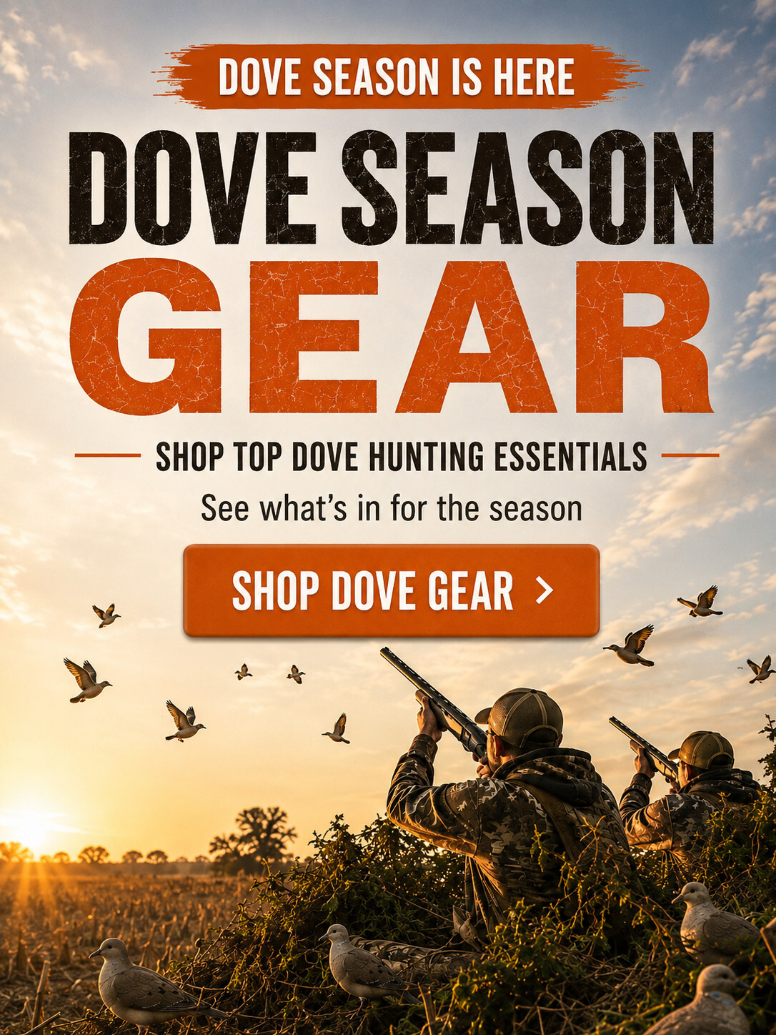Dove 2026