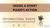 Inside a Spinet Piano's Action