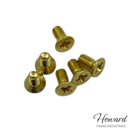Flat Head Screw 2.5X5 (Pack of 6)