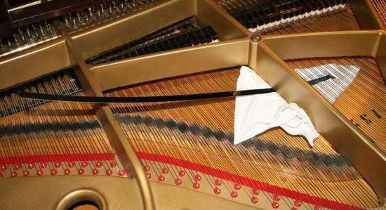 Grand Piano Soundboard Cleaner