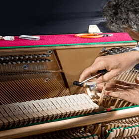 Piano Tuning & Service Business