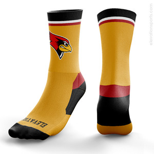 Custom Football Socks - 024