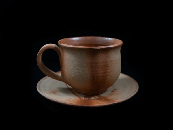 Tokeido Coffee Cup and Saucer Set Hidasugi (Cedar Tree) No. 6