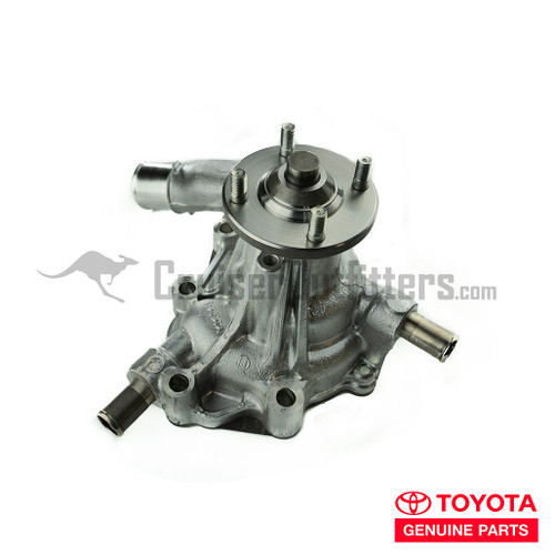 Water Pump - EGW61180OEM