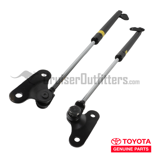 Liftgate Strut Assembly (Pair) - Fits 8x/450 Rear Lift Gate Applications (EXTSTR8XROEM)