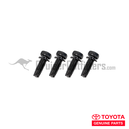 Spring Pin Retaining Bolt Kit - Fits Late 4x, '80-'90 6x, & '85+ 7x Series Applications (SUSFITKIT60)