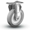 2 Series Stainless Steel Rigid Caster (400293)