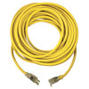 VLT 05-00365 Extension Cord 12/3 50'