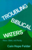 Troubling Biblical Waters: Race, Class, and Family (Bishop Henry McNeal Turner Studies in North American Black R)