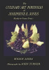 The Culinary Art Portfolio of Josephine E. Jones