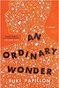 An Ordinary Wonder