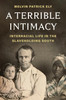 A Terrible Intimacy: Interracial Life in the Slaveholding South