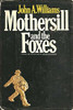 Mothersill and the Foxes