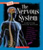 The Nervous System