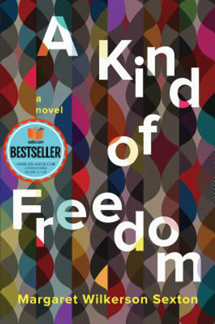 A Kind of Freedom: A Novel