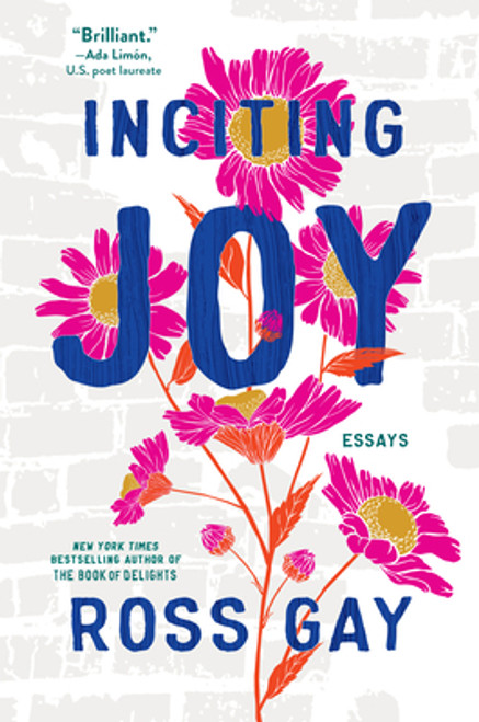 Inciting Joy: Essays