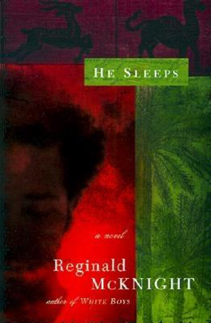 He Sleeps: A Novel