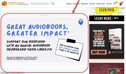 Large Horizontal Banner Ad