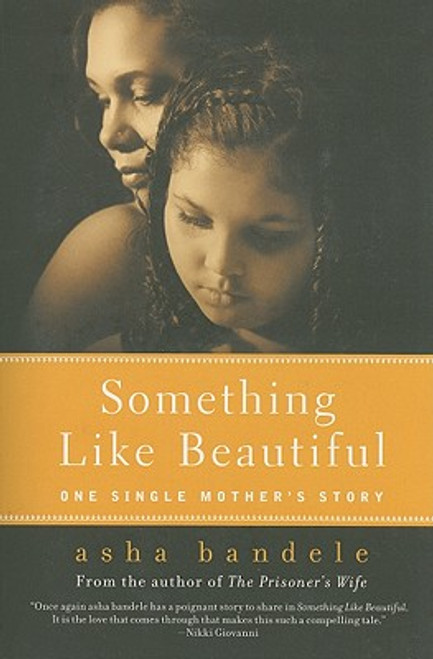 Something Like Beautiful: One Single Mother&rsquo;s Story