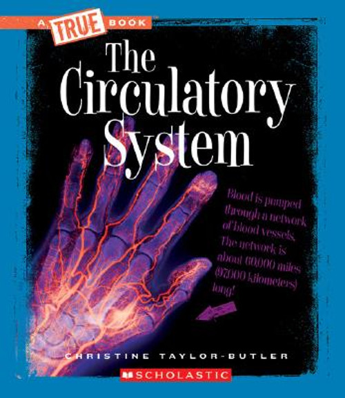 The Circulatory System