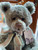 Charlie Bears Jive - SJ5442