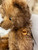 Charlie Bears Little Bear Lost - SJ5487
