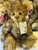 Charlie Bears Bogart - SJ5562