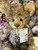 Charlie Bears Bogart - SJ5562