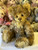 Charlie Bears Bogart - SJ5562