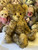 Charlie Bears Bogart - SJ5562