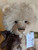 Charlie Bears Clooney - SJ5581