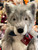 Charlie Bears Timberwolf - BB214106