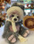 Charlie Bears Grant - SJ6211A