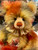 Charlie Bears Baroque - SJ6345B